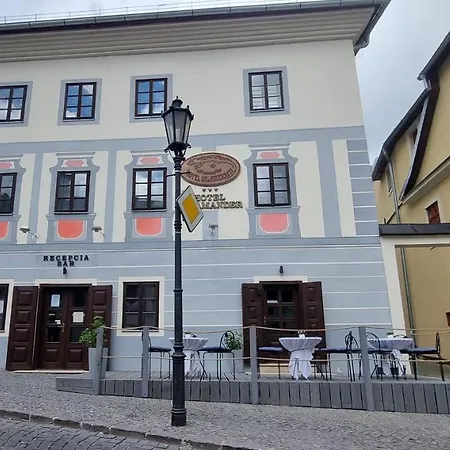 Otel Salamander - Garni