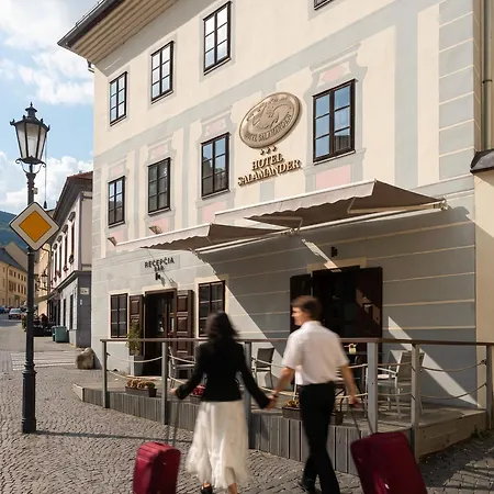 Salamander - Garni Banská Štiavnica