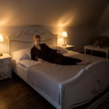فندق Salamander - Garni Banská Štiavnica